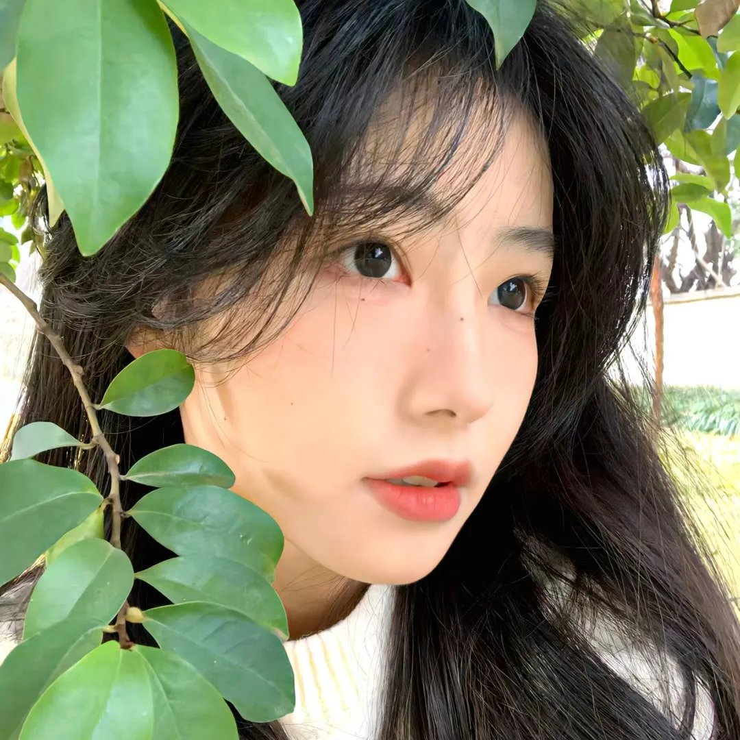 暴龙真相